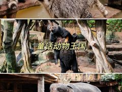 -长鹿旅游休博园
