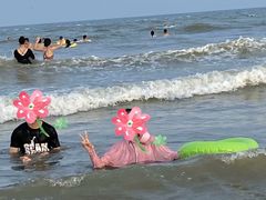 -日照海滨国家森林公园