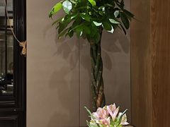 -杭州西湖柳莺里酒店·闻莺厅