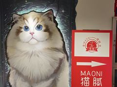 -猫腻·猫咖·撸猫馆(星光大道店)