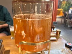 啤酒-道乐烧肉酒馆