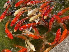 -惠食佳(滨江大公馆店)