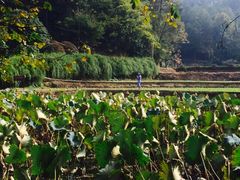 -韶山毛泽东同志故居