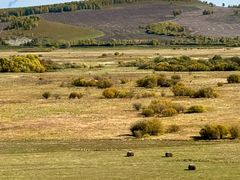 -莫尔道嘎国家森林公园