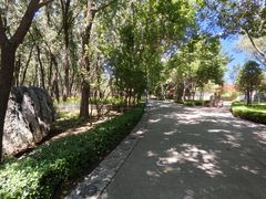 -森林公园(尖草坪区)