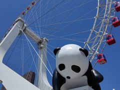 -天津之眼摩天轮