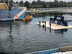 -秦皇岛乐岛海洋王国