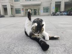 -长安大学(北校区)