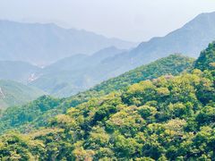 -大岭沟猕猴桃谷风景区