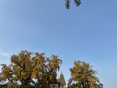 -北京石刻艺术博物馆(五塔寺)