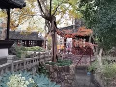 -上海醉白池公园