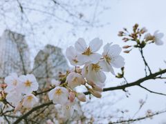 -复旦大学光华楼