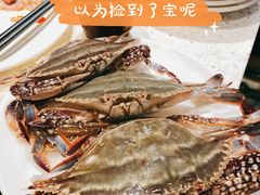 梭子蟹-宴立方海鲜自助(义乌万达广场店)