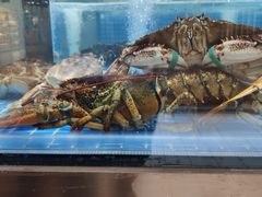 水产区-七鲜超市(通州ONE店)