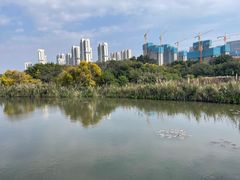 -五缘湾湿地公园