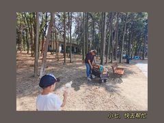 -象山森林公园