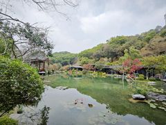-云溪植物园