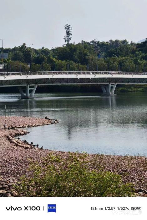 深圳人才公园图片