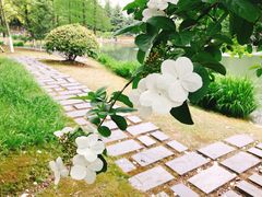 -白塘生态植物园