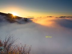 -喇嘛山国家森林公园