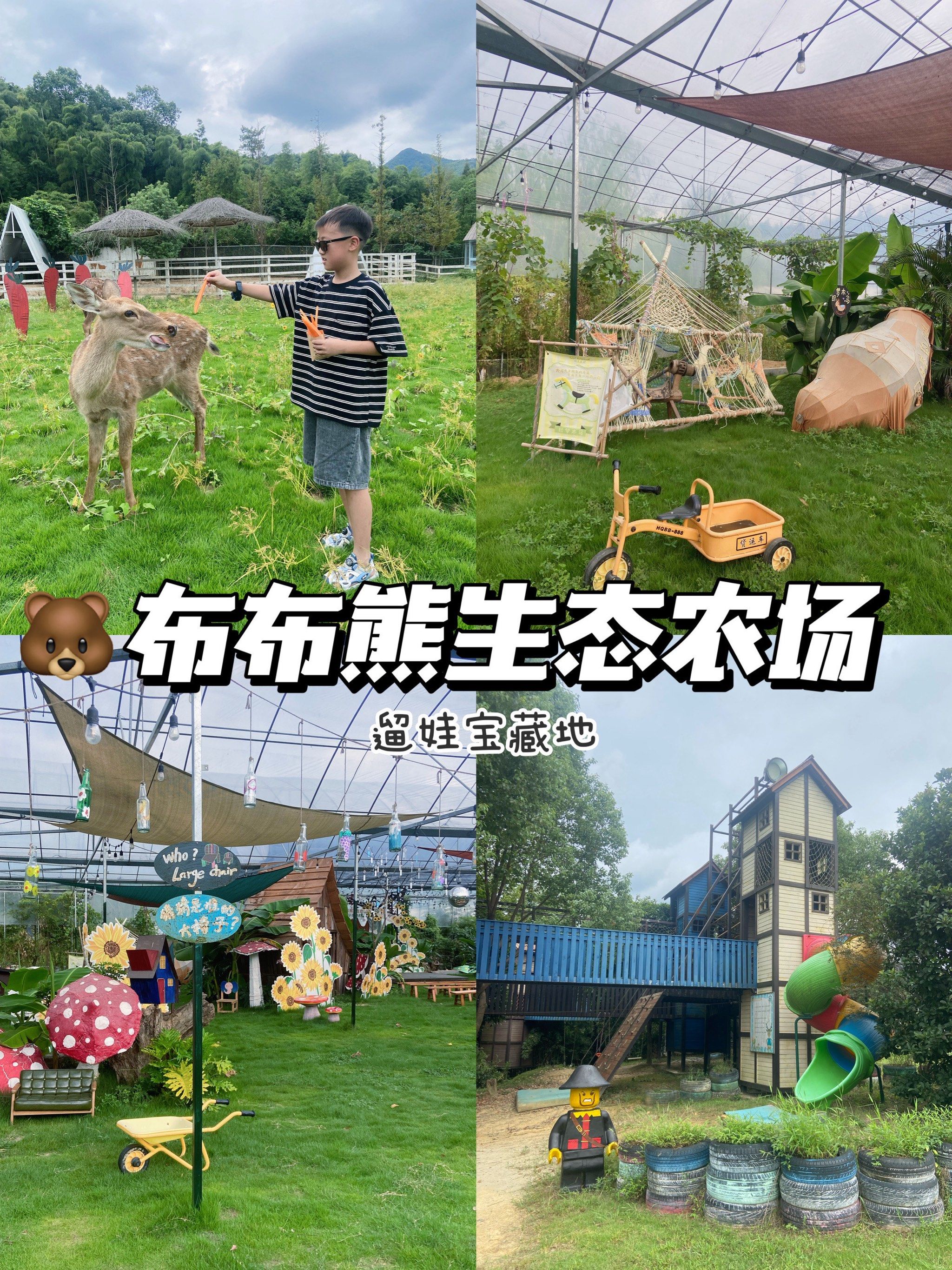 杭州遛娃好出去|宝藏布布熊生态农场玩不够!