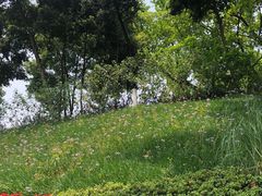 -重庆平顶山公园
