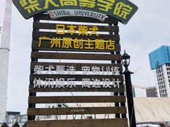 -柴犬高等学院·狗咖·柴犬售卖·宠物训练