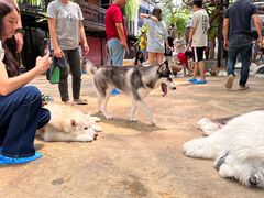 -TrueLove @ Neverland (Husky Cafe)