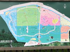-上海滨江森林公园