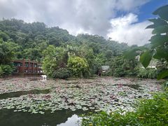 -野象谷景区