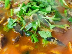 -炉桥手擀面(金丰易居东方城市花园店)