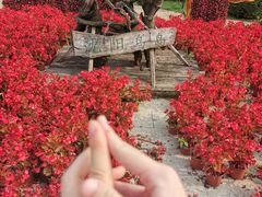 -沈阳鸟岛