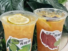 -炖物24章·顺时轻养茶(黄龙店)