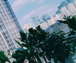 -恒妍医美·韩国定制抗衰中心
