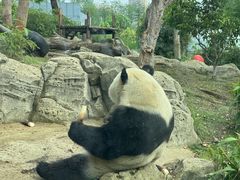 -武汉动物园