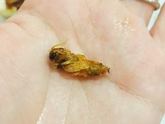 -一品滇香·云南菜(公益西桥店)