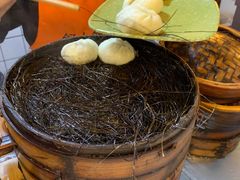 -舒小笼松针小笼包