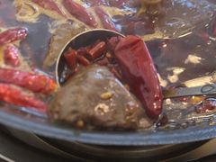 -黄潇洒老火锅(九眼桥宏济巷店)
