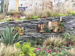 -梦幻奥陶纪景区