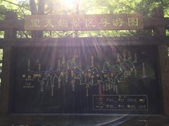 -望天鹅景区