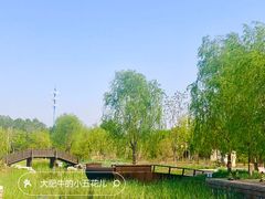 -张家湾公园