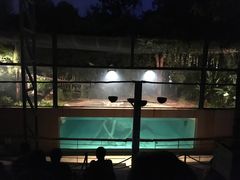 -清迈夜间动物园
