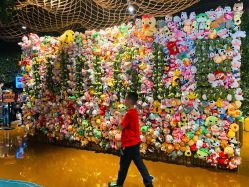 -奇幻丛林(佛罗伦萨小镇店)