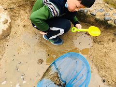 -苏州河梦清园环保主题公园