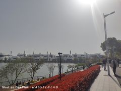 -羊山湖公园