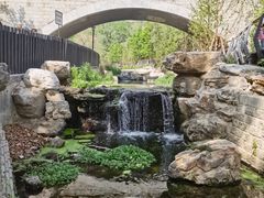 -白水寺森林公园