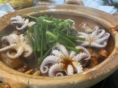 八爪鱼-争鲜·鲍鱼鸡煲(美邻中心店)