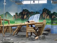 -秦皇岛野生动物园