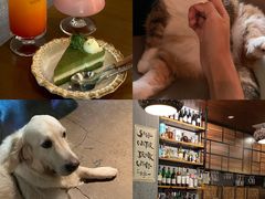 -咖法森林·咖啡  酒吧(天河店)