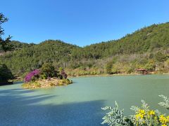 -广州白江湖森林公园